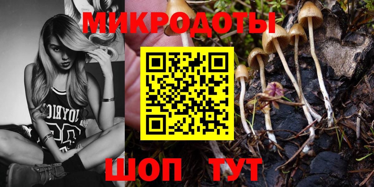 Галлюциногенные грибы Magic Shrooms  Вход с VPN  Дербент 