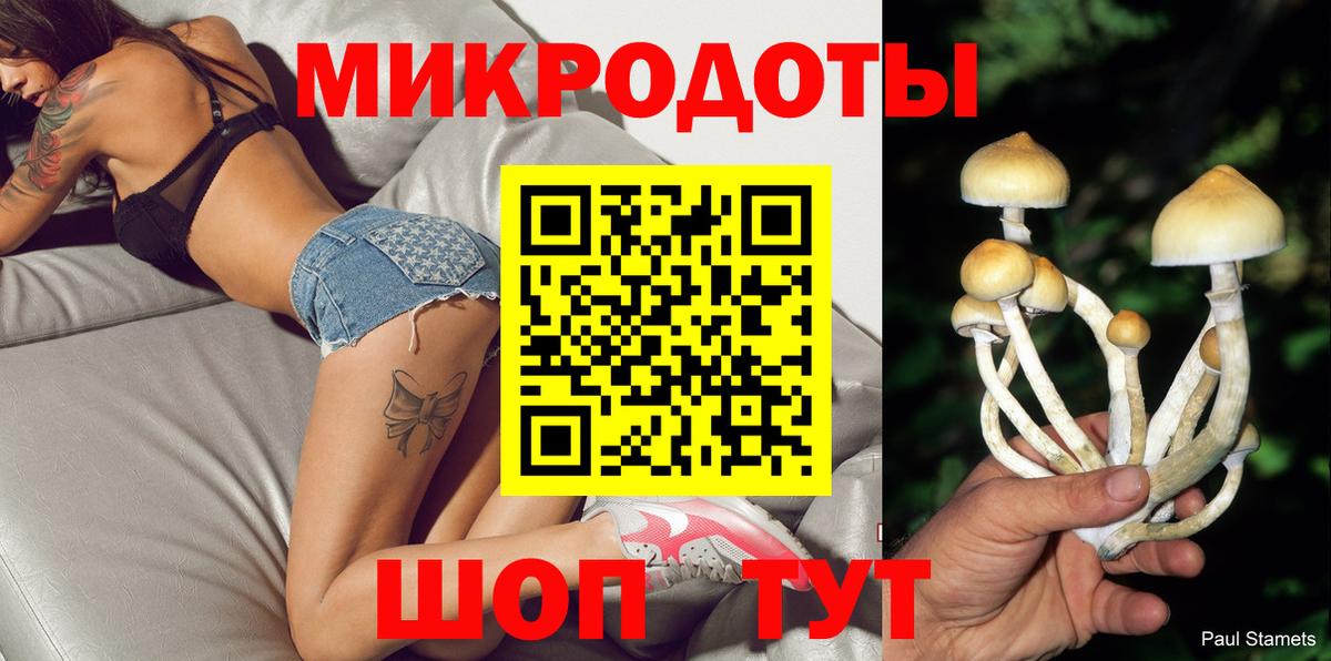 Псилоцибиновые грибы Psilocybine cubensis Дербент
